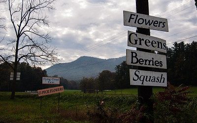 Benefits of Eating Local & Organic