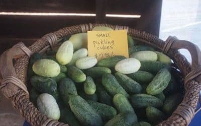 Summer Fun: Visit a Farmers’ Market