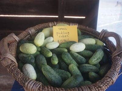 Lemon pickles are a variety of cucumber