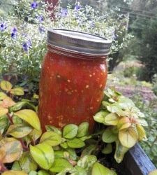 Salsa la vista Baby!