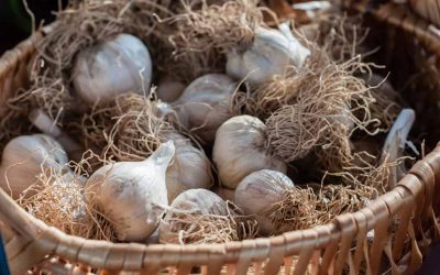 Nutritional Benefits of Garlic and My Favorite Ways to Prepare Garlic