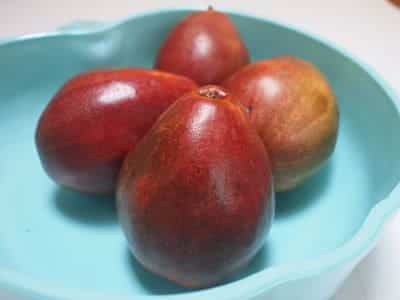 Red bosc pears in a bowl are a delicious fall treat