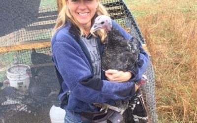 Clean Eats: Humanely Raised Chicken and Turkey