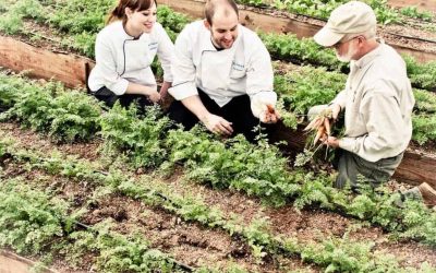 Farm to Table Menu at the Biltmore Estate Dining Rooms