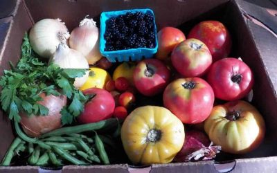 15 Great Reasons to Eat Local