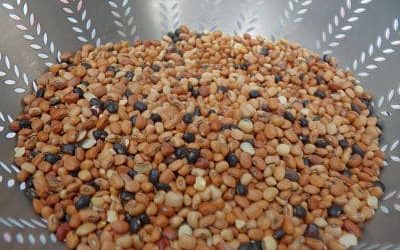 5 Great Reasons to Eat Your Pulses!