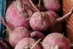 Turnip can grow almost every season