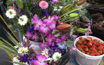 3 Seasonal Fruit & Kale Recipes