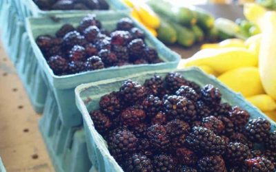 If You Can’t Stand the Heat, Make a Cool Dessert!