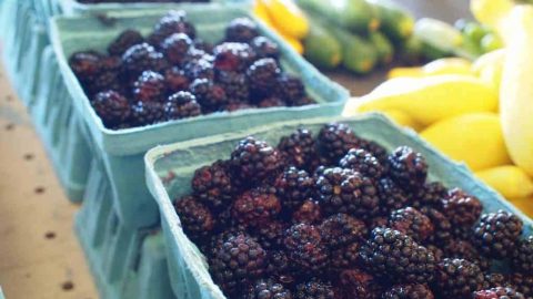 Blackberries at the Farmers' Market