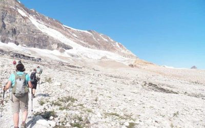 5 Ways a Physical Therapist Can Help