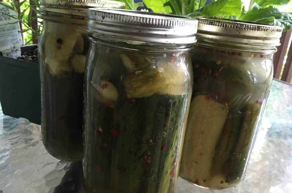 Fermented Pickles that my husband made