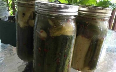 2 Effortless and Flavorful Fermented Food Recipes
