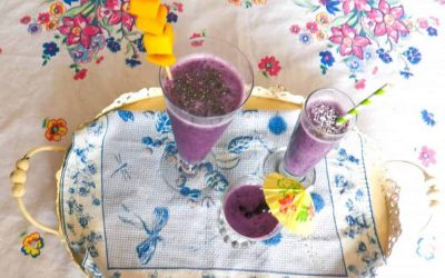 Wild Blueberry Tropical Smoothie