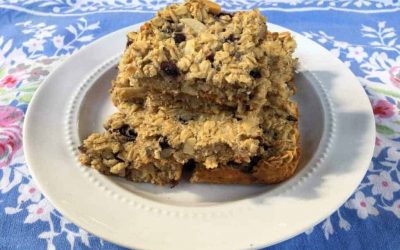 Solar Eclipse Breakfast Blueberry Bars
