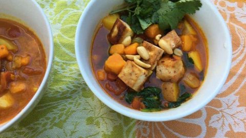 Digestive Wellness Curry Soup