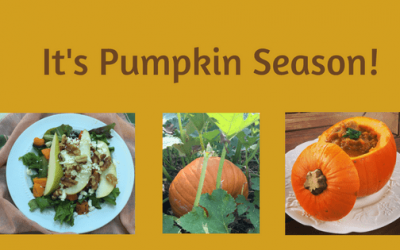 2 Savory Fall Pumpkin Recipes