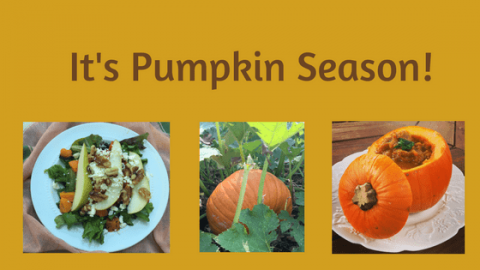 2 Savory Pumpkin Seasons