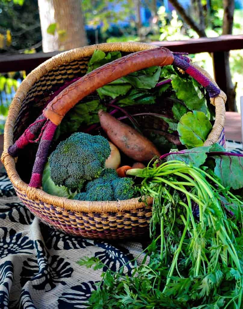 Picture of Basket of Vegetables