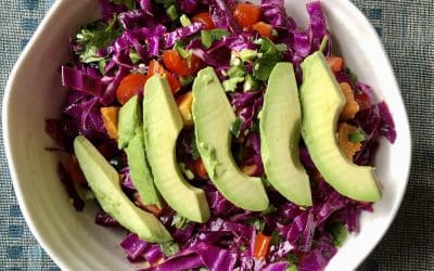 Health Benefits of Polyphenols in Gut Health: 5 Amazing Ones