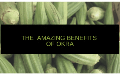 The Amazing Health Benefits of Okra & More