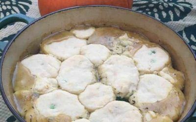 Heartwarming Winter Low Fodmap Vegetarian Pot Pie