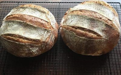 Best Bread for IBS Sourdough Low Fodmap