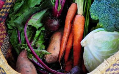 10 Highly Effective Foods for Brain Health