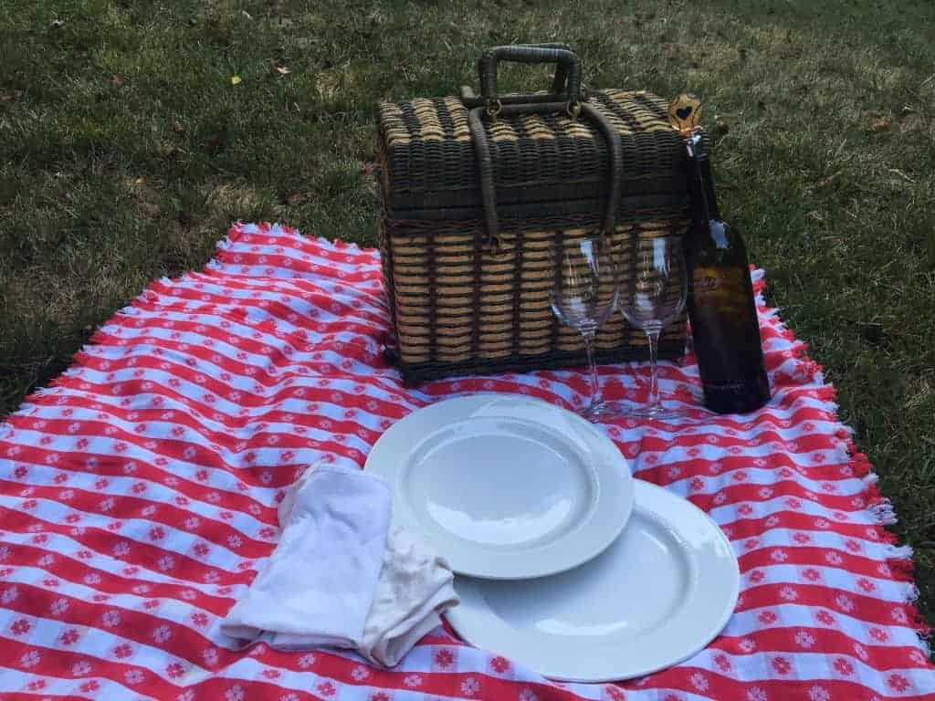 Picnic on the Lawn at my house