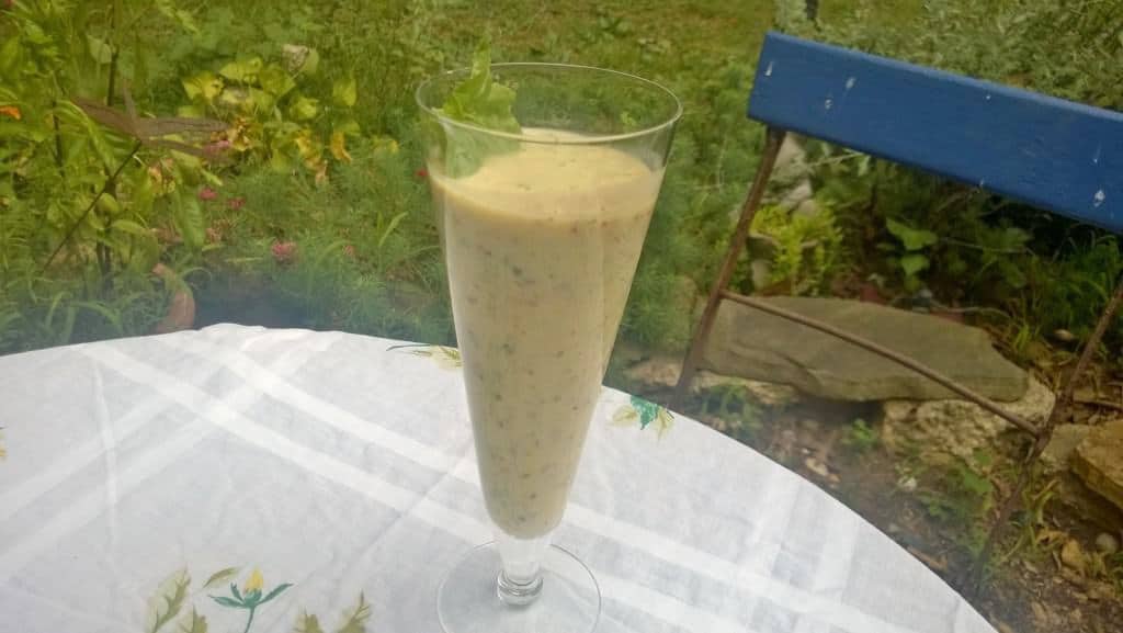 Drinking a cucumber peach smoothie in my garden