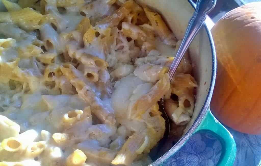 This macaroni and cheese includes butternut squash it is so delicious!
