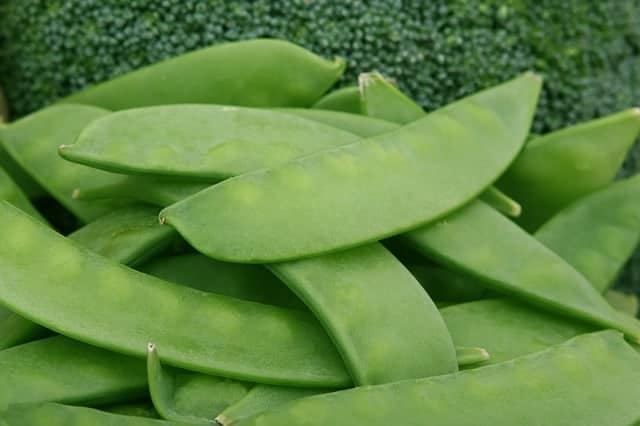Peas are later in the spring. You can even grow a fall batch.