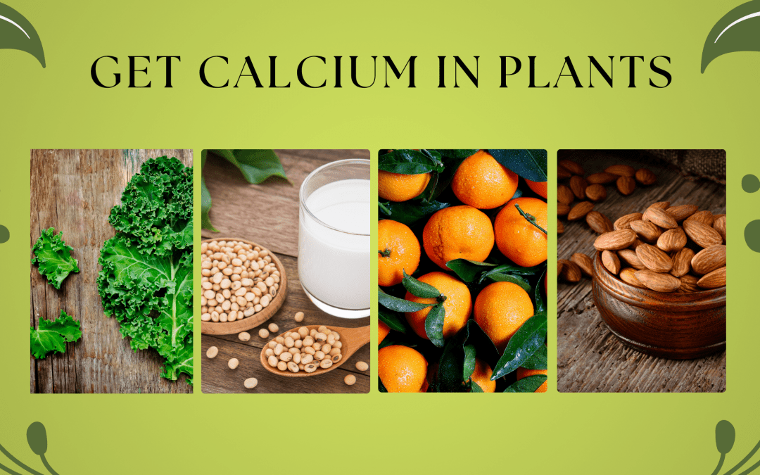 Pictures of foods high in calcium